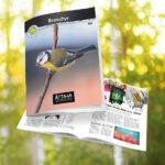 Brochure – Åtta45 Printworks | Magazine | Newspaper | Print