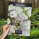 Leaflet Flyer | Åtta45 Print Shop