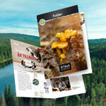 Brochure | Åtta45 Print Shop