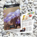 Brochure | Åtta45 Print Shop