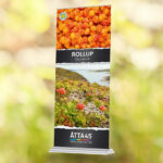 Exclusive Roll-up | Åtta45 Print Shop & Media