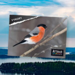 Postcard | Åtta45 Print Shop